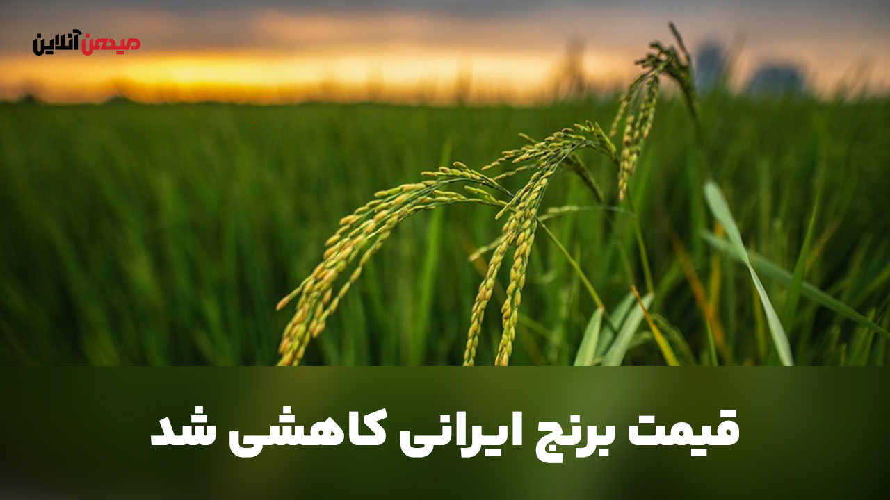 کاهش قیمت برنج ایرانی